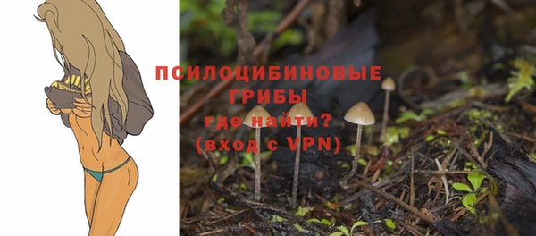 гидропоника Алексин