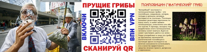 ссылка на мегу сайт  Игра  Псилоцибиновые грибы Psilocybine cubensis 